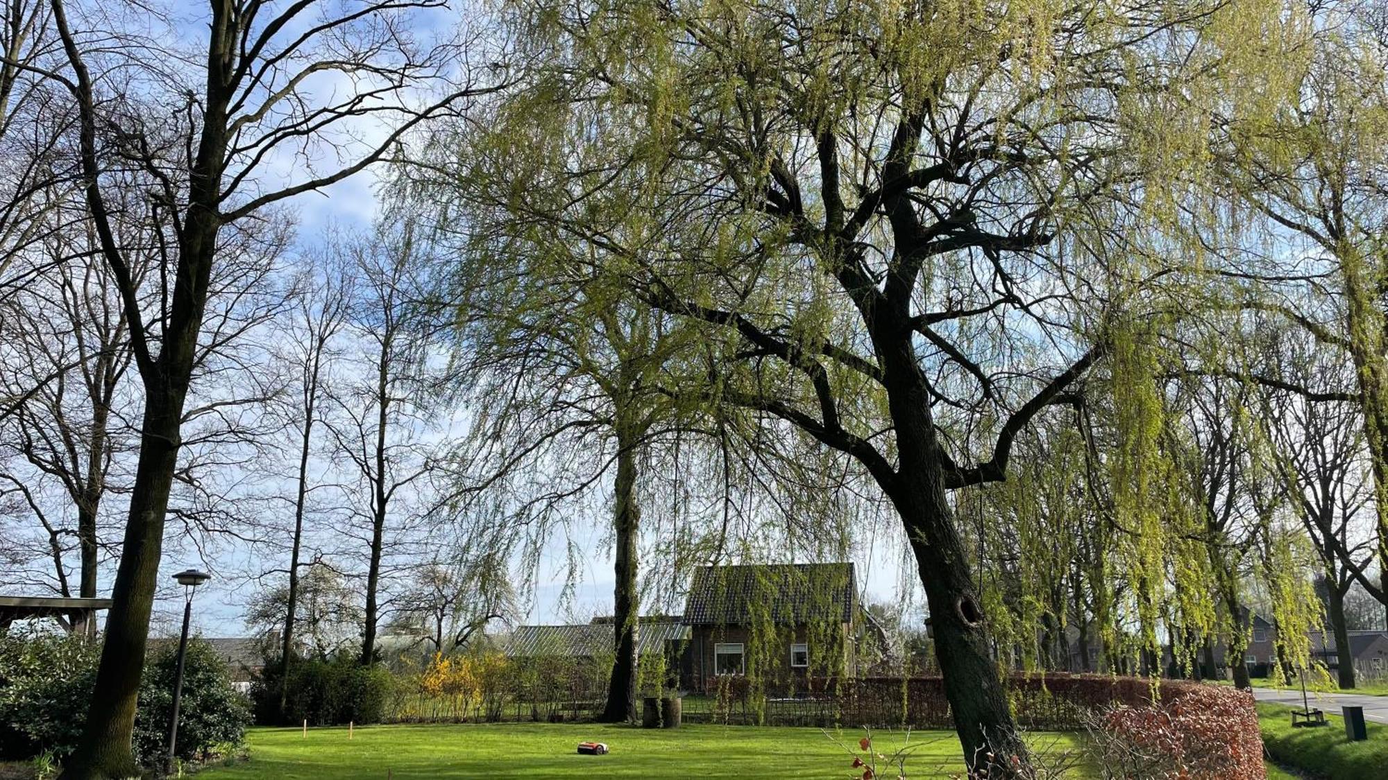 Hoeve Bij Vosselen Asten Exteriér fotografie